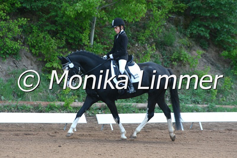 104M4677_Black Gigolo_Dressur E.JPG